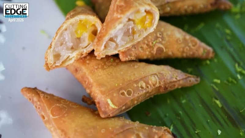 Wonton mango coconut sticky rice